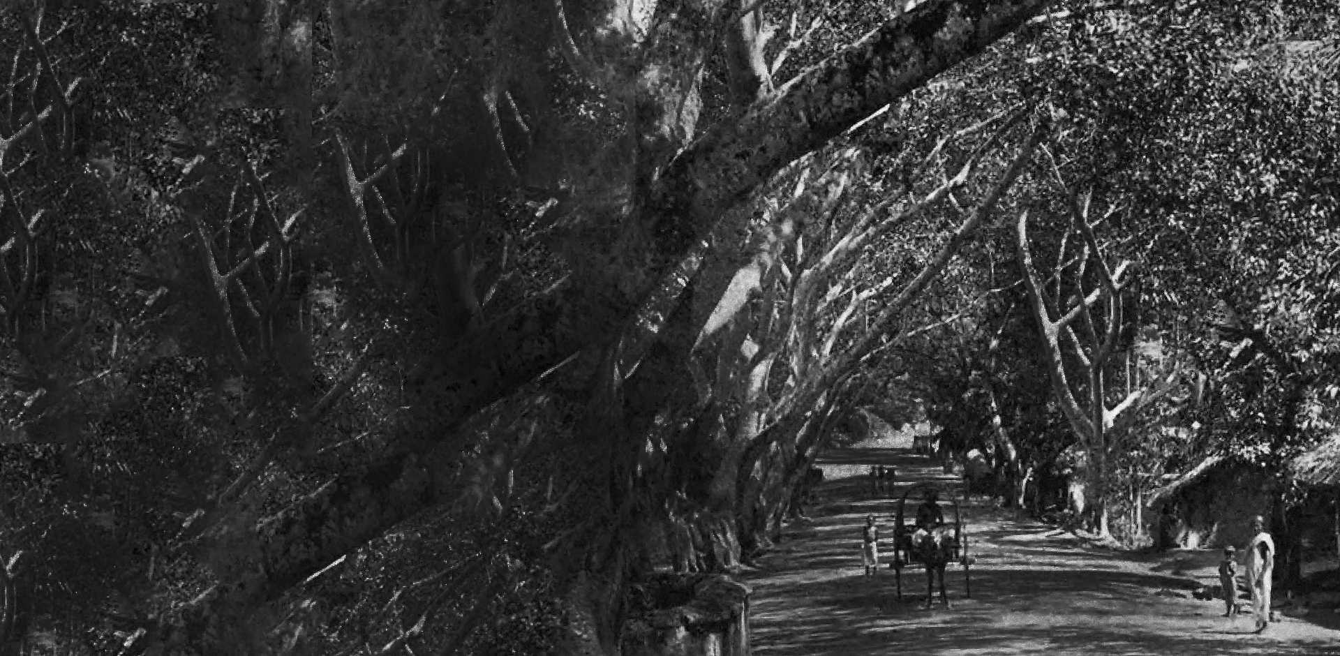 Vivamus ornare quam eu ligula volutpat bibendum. Orci varius natoque penatibus